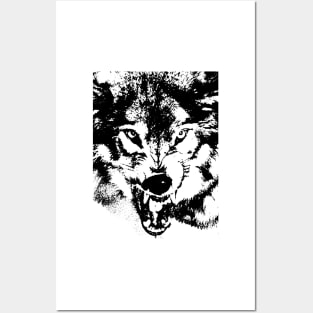 wolf, predator Posters and Art